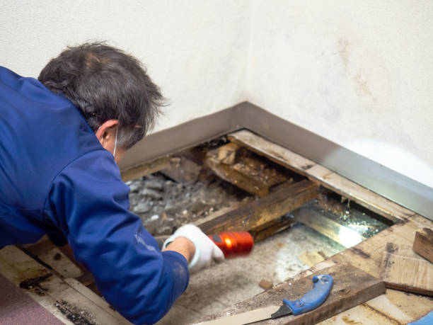 Best Water Damage Restoration  in North Westport, MA