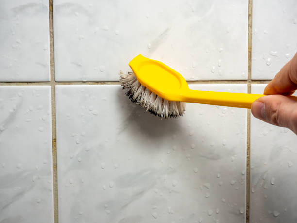 Best Mold Testing  in North Westport, MA