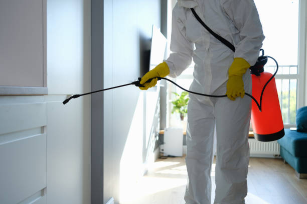Water Damage Restoration in North Westport, MA