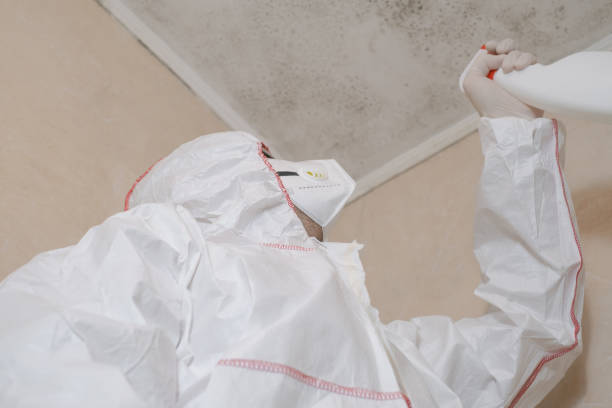 Best Emergency Mold Removal  in North Westport, MA