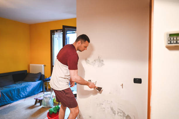 Best Mold Removal Near Me  in North Westport, MA