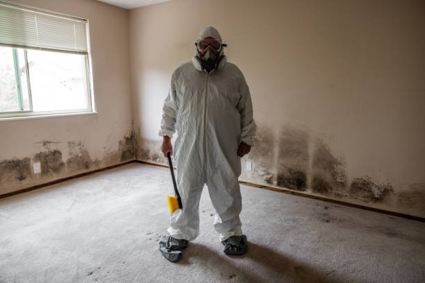 Best Residential Mold Removal  in North Westport, MA